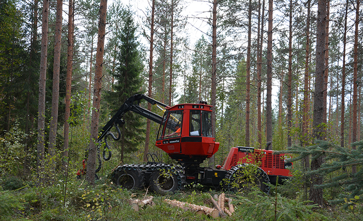 Metsähallitus Metsätalous Oy-hero-background
