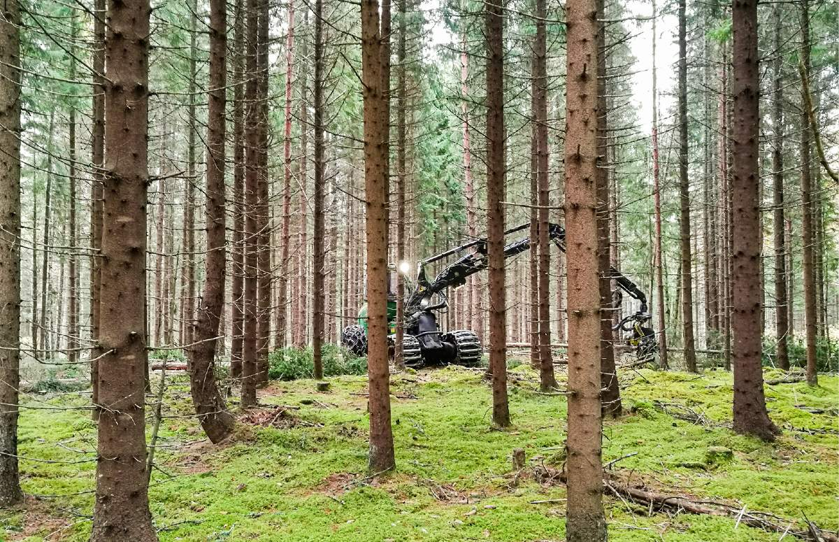 Metsäkonepalvelu Oy-hero-background
